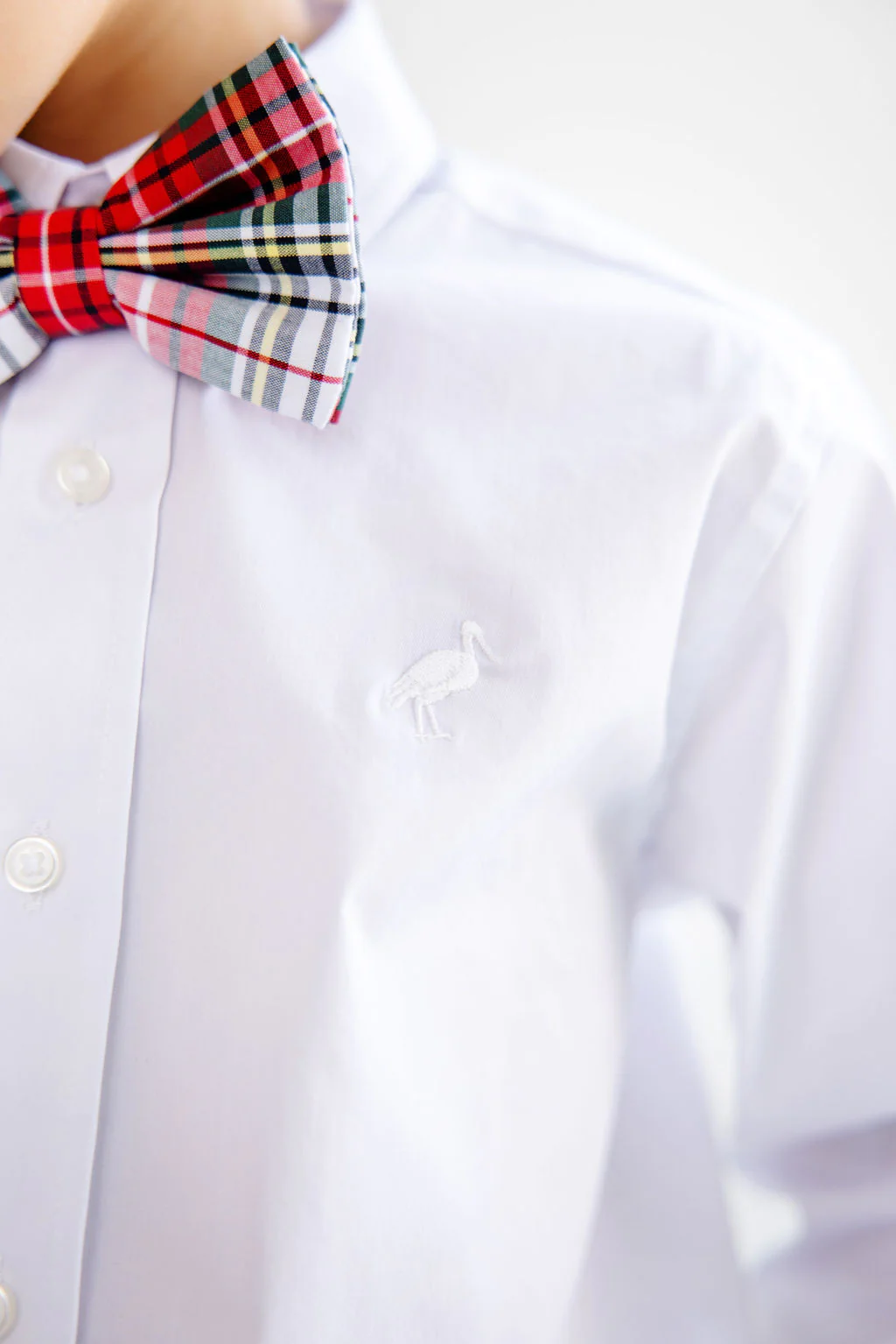 Baylor Bowtie Flannel in Society Prep Plaid