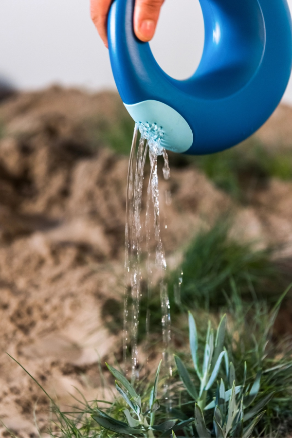 Playful Large Watering Can in Ocean