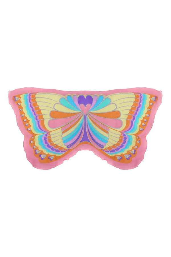 Rainbow Butterfly Wings