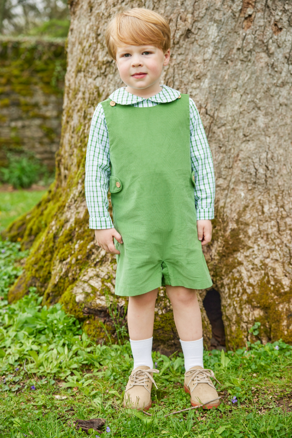 Peter Pan Shirt Leland Plaid