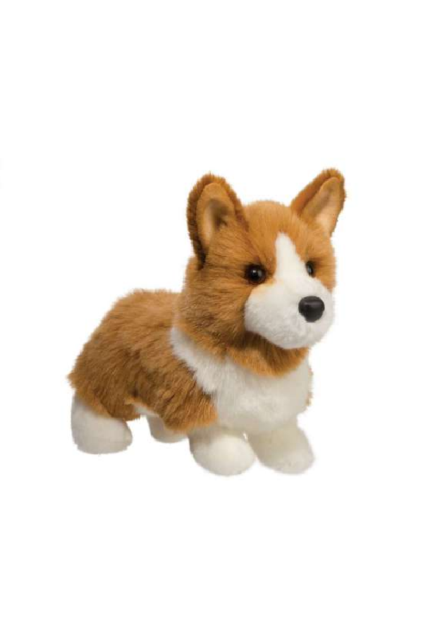 Louie the Corgi