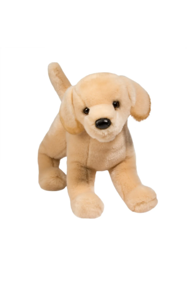Mandy the Yellow Lab