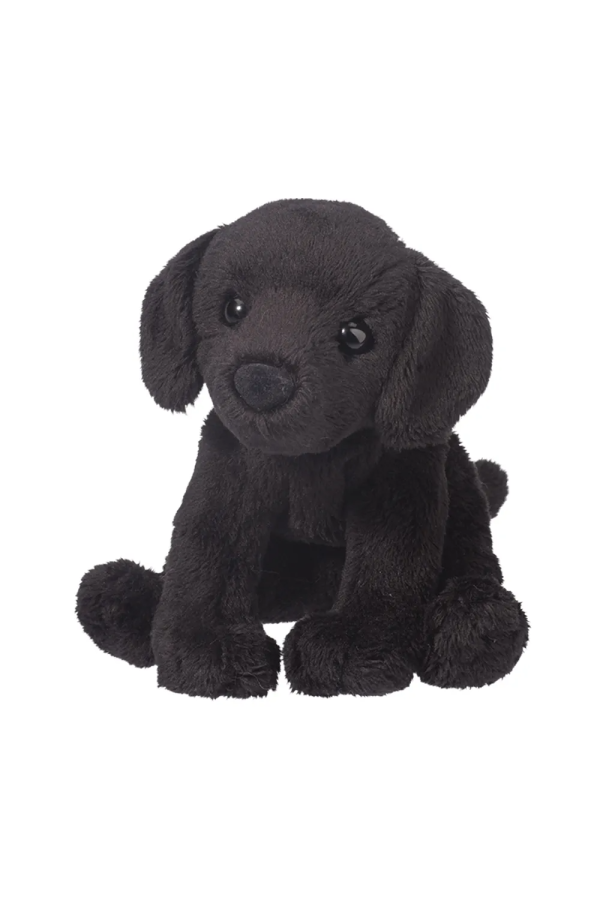 Lucy the Black Lab