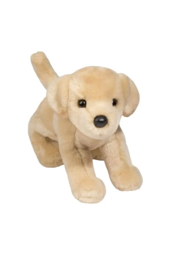 Spankie the Yellow Lab