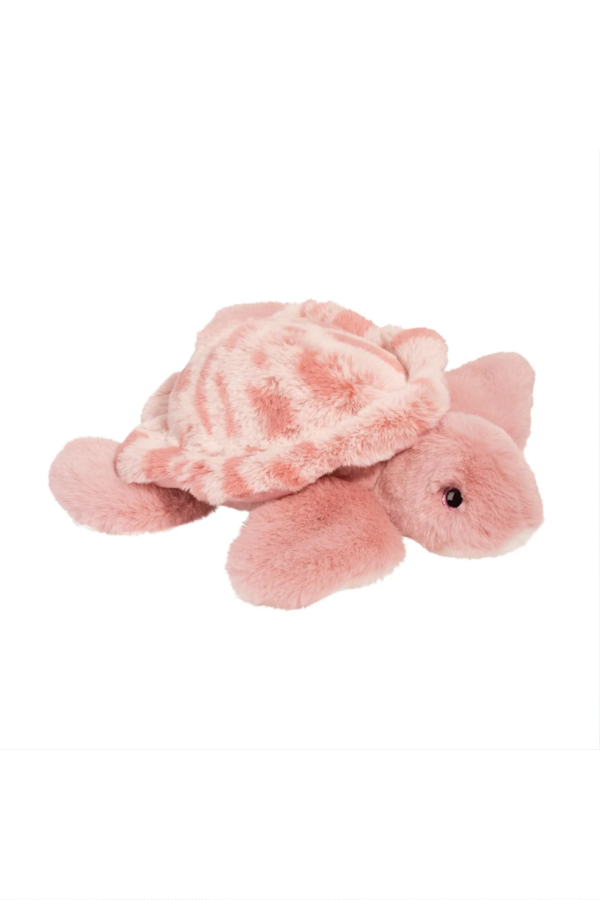 Cordelia the Turtle