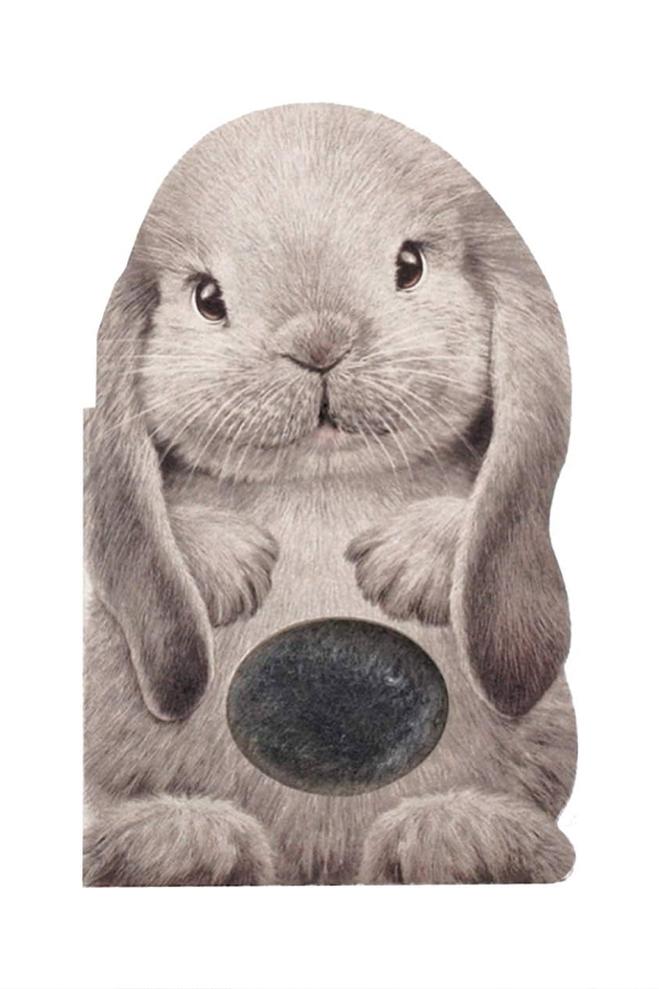 Furry Bunny