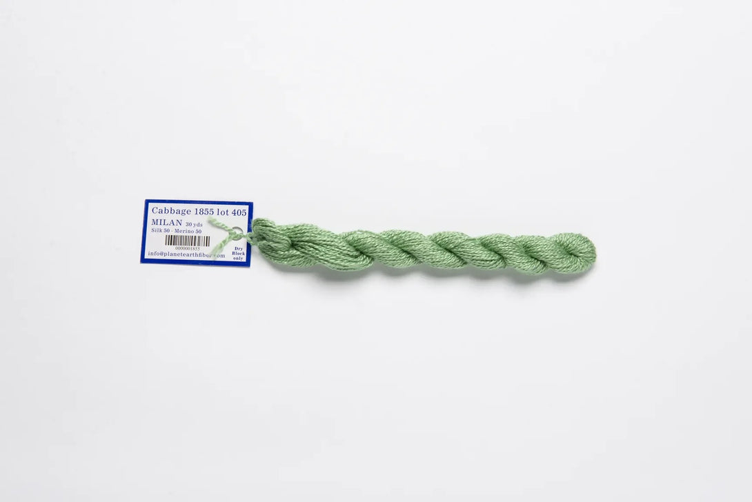 Milan -1855 Cabbage