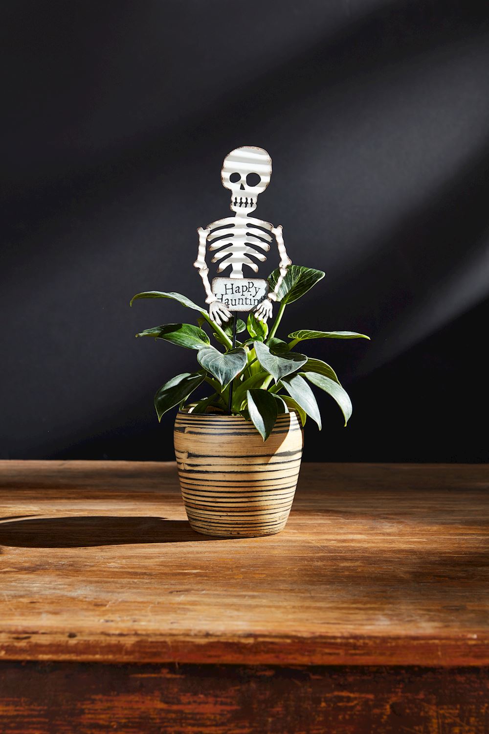 Small Halloween Plant Stakes