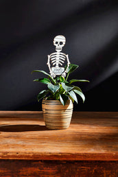 Small Halloween Plant Stakes