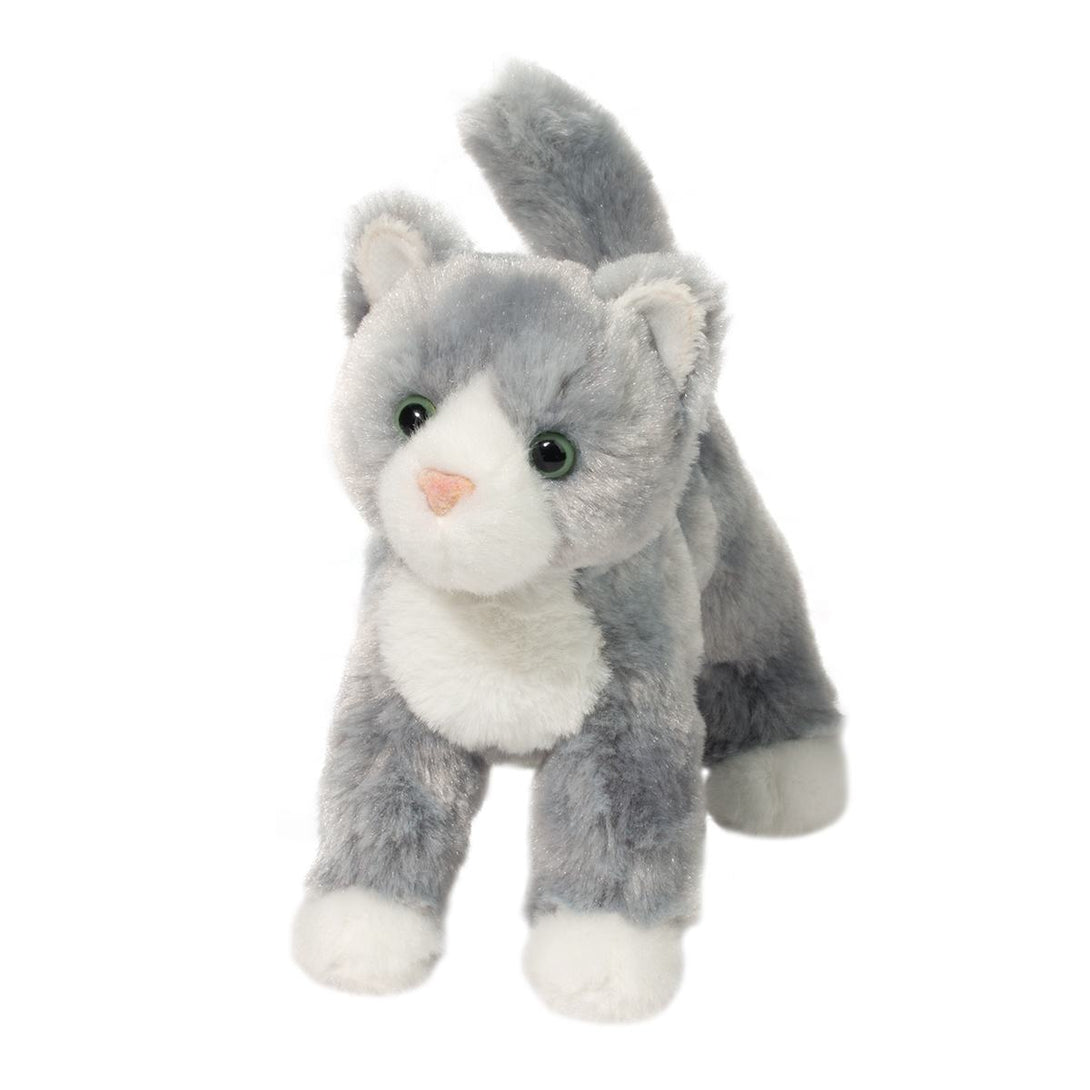 Scatter Gray Cat