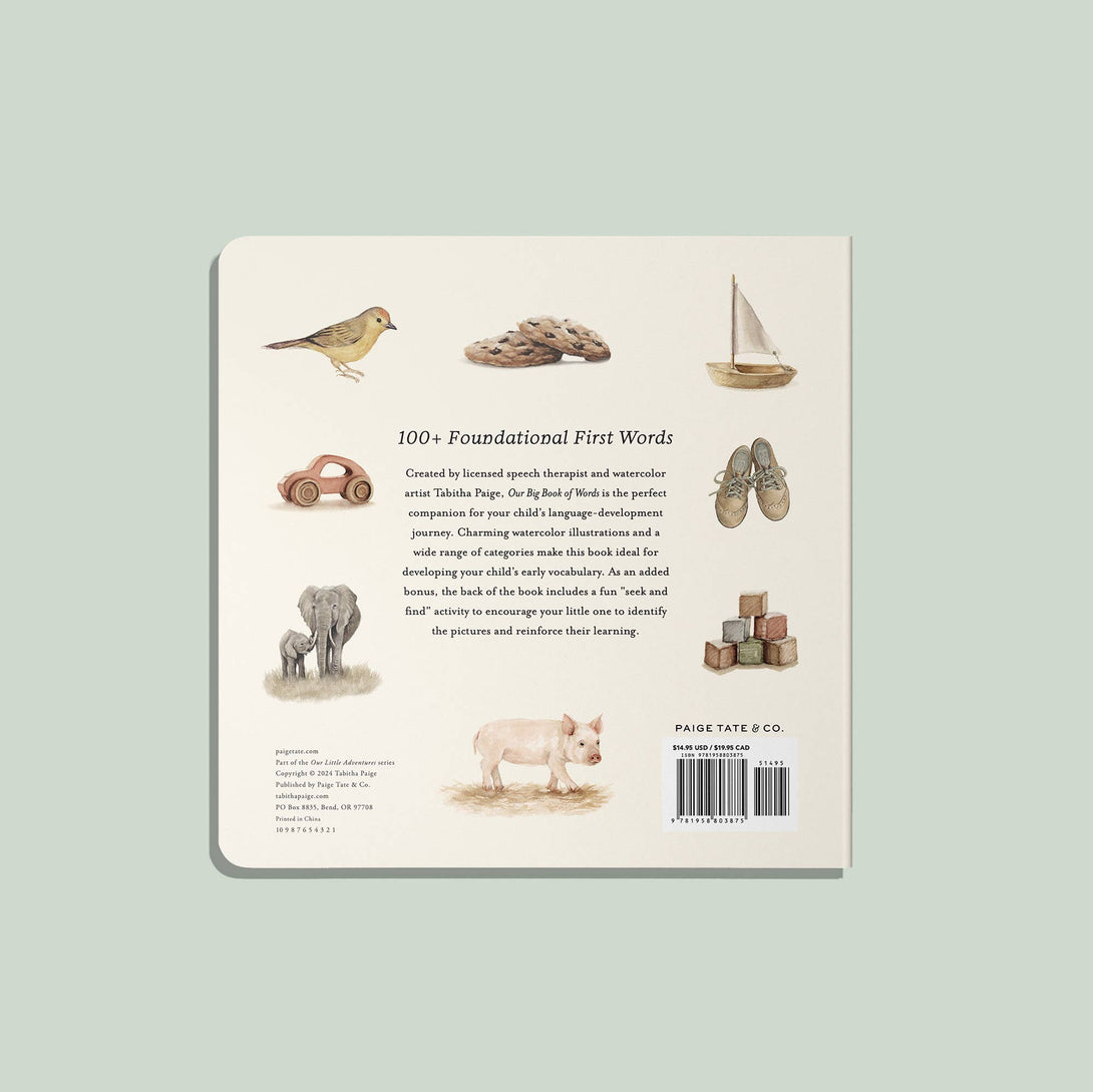 Our Big Book of Words (Baby Board Book)
