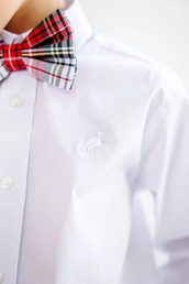 Baylor Bowtie Flannel in Society Prep Plaid