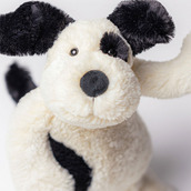 Bashful Black and Cream Puppy