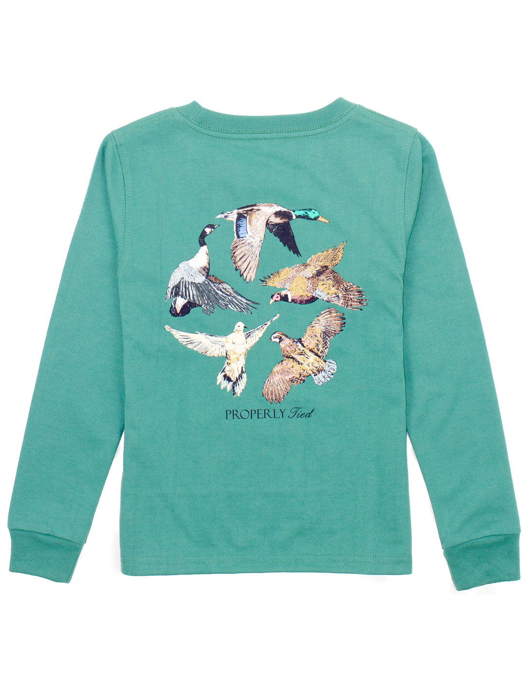 Boys Flock Long Sleeve Tee in Teal