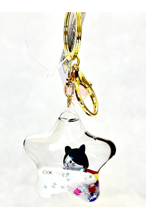 Kitty Star Floaty Key Chain