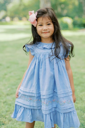 Exclusive Blue Oxford Willow Dress