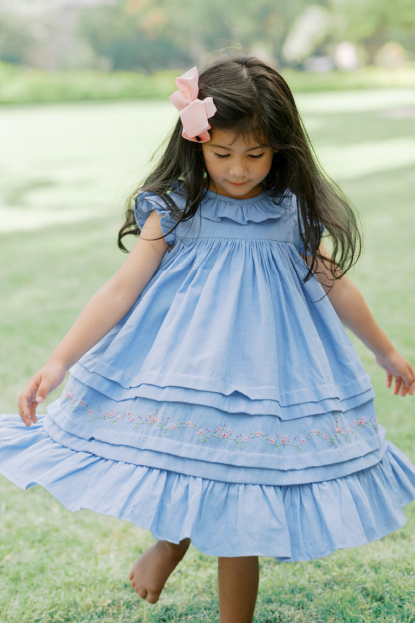 Exclusive Blue Oxford Willow Dress