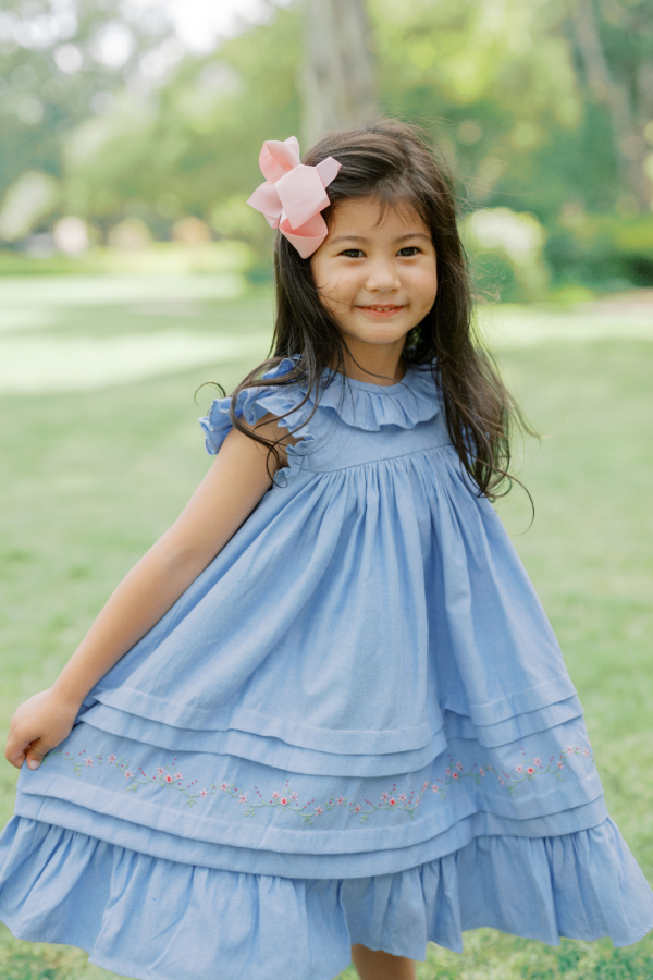 Exclusive Blue Oxford Willow Dress