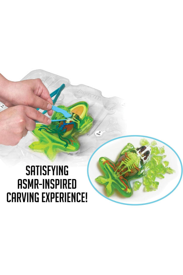 Dissect It Simulated Synthetic Lab Dissection Toy