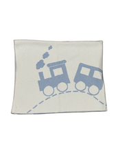 Blue and White Train Blanket