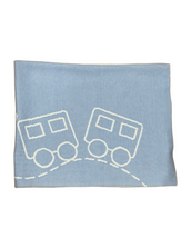 Blue and White Train Blanket