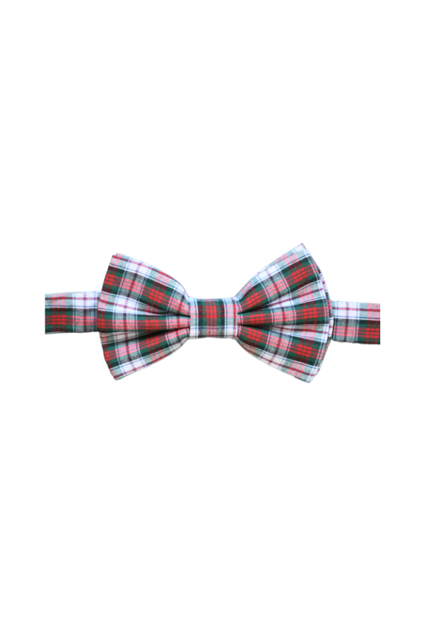 Pineville Plaid and South End Spruce Walt Bow Tie