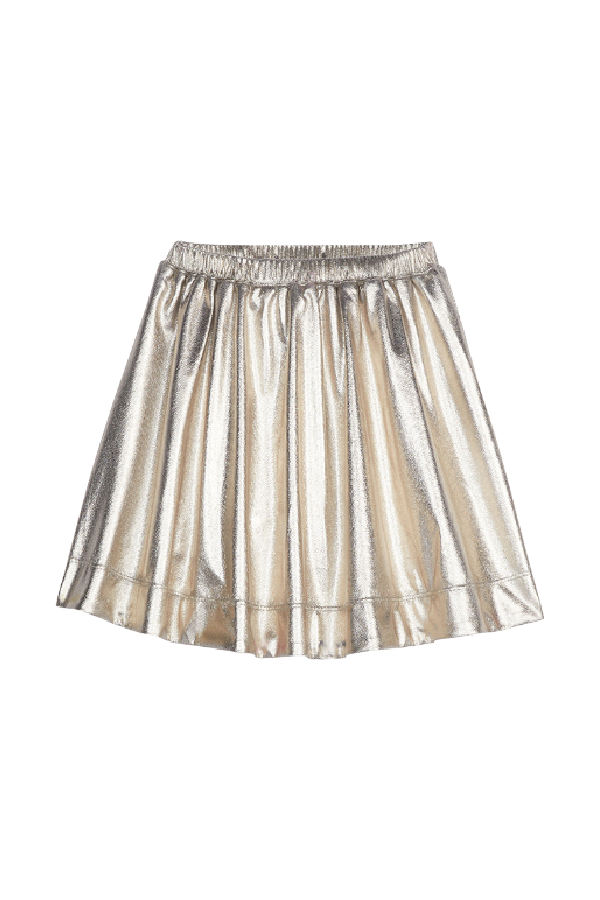 Circle Skirt Gold Lame