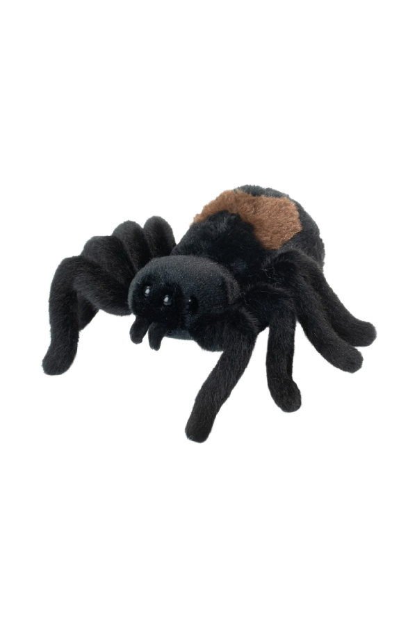 Sneakie Soft Spider