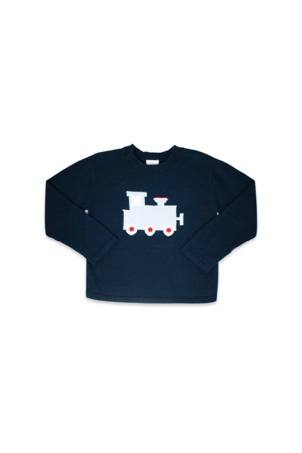 Cozy Up Sweater in Navy Train