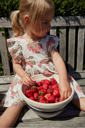 Girls Elsie Dress in Wild Strawberries