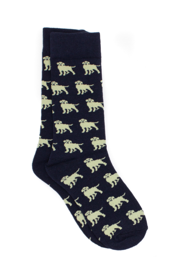 Boys Lucky Duck Socks Golden Retriever