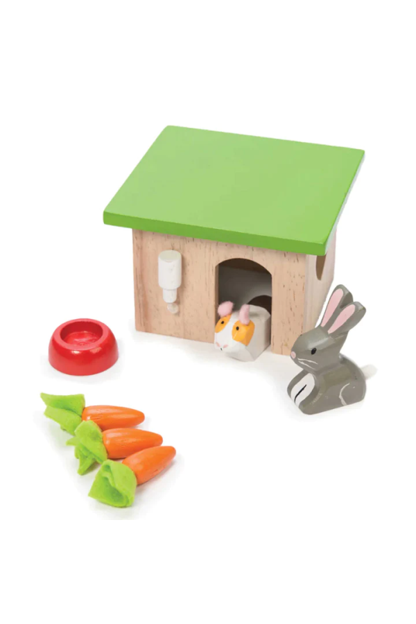 Bunny and Guinea Set