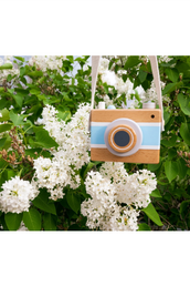 Vintage Camera Music Box in Blue