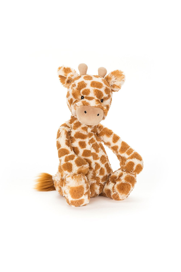 Bashful Giraffe