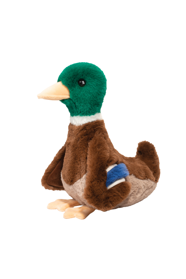 Desie Mallard Duck