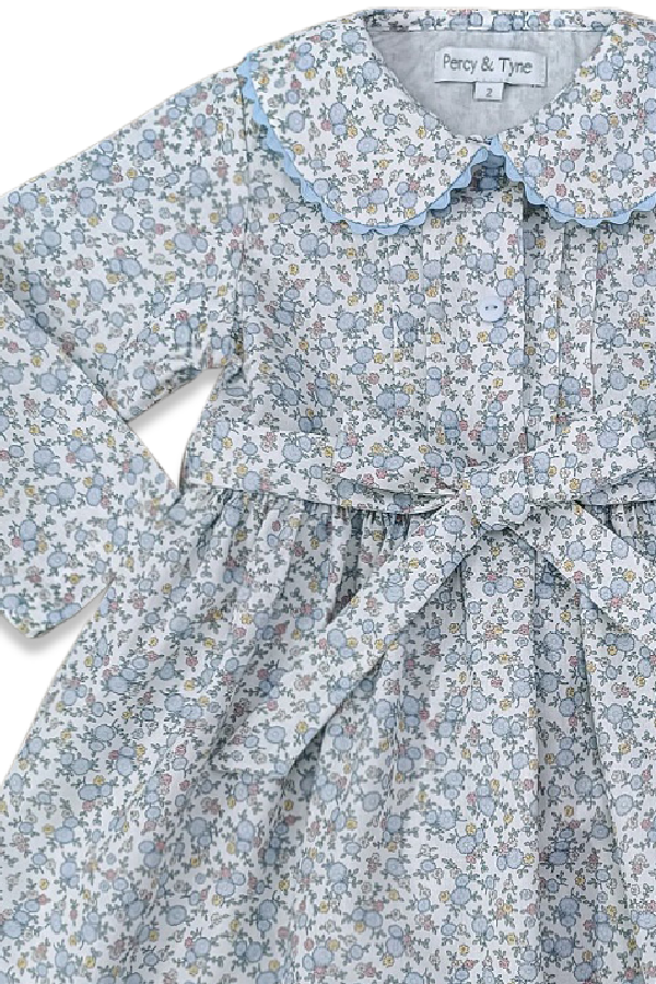Long Sleeve Jane Dress Crysanthemum Floral