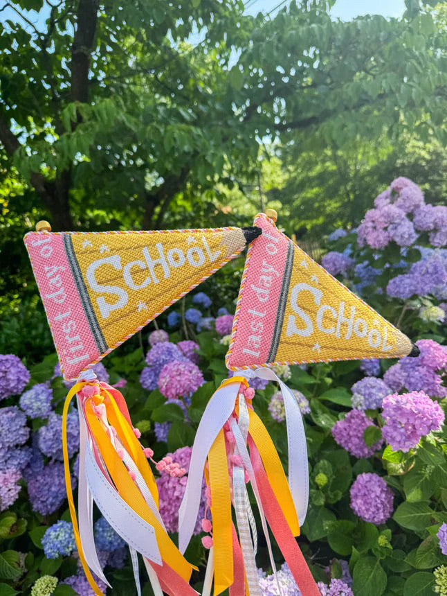 Back To School Needlepoint Canvas