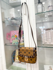 Brown Pouchette Crossbody Bag