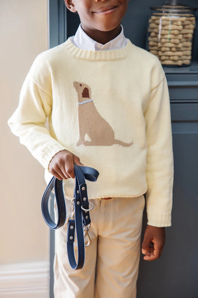 Isaac's Intarsia Sweater in Palmetto Pearl with Dog