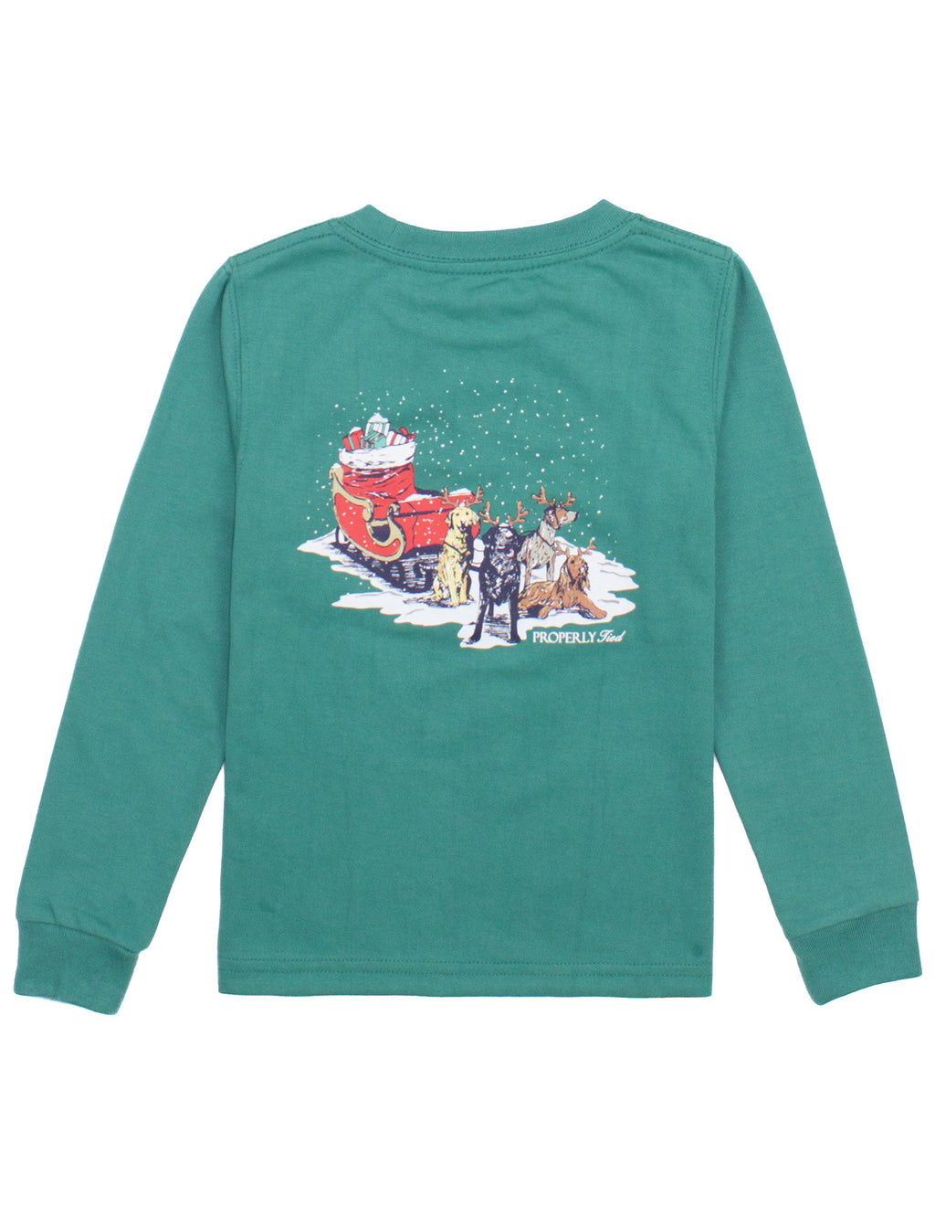 Boys Sleigh Dogs Long Sleeve Teal