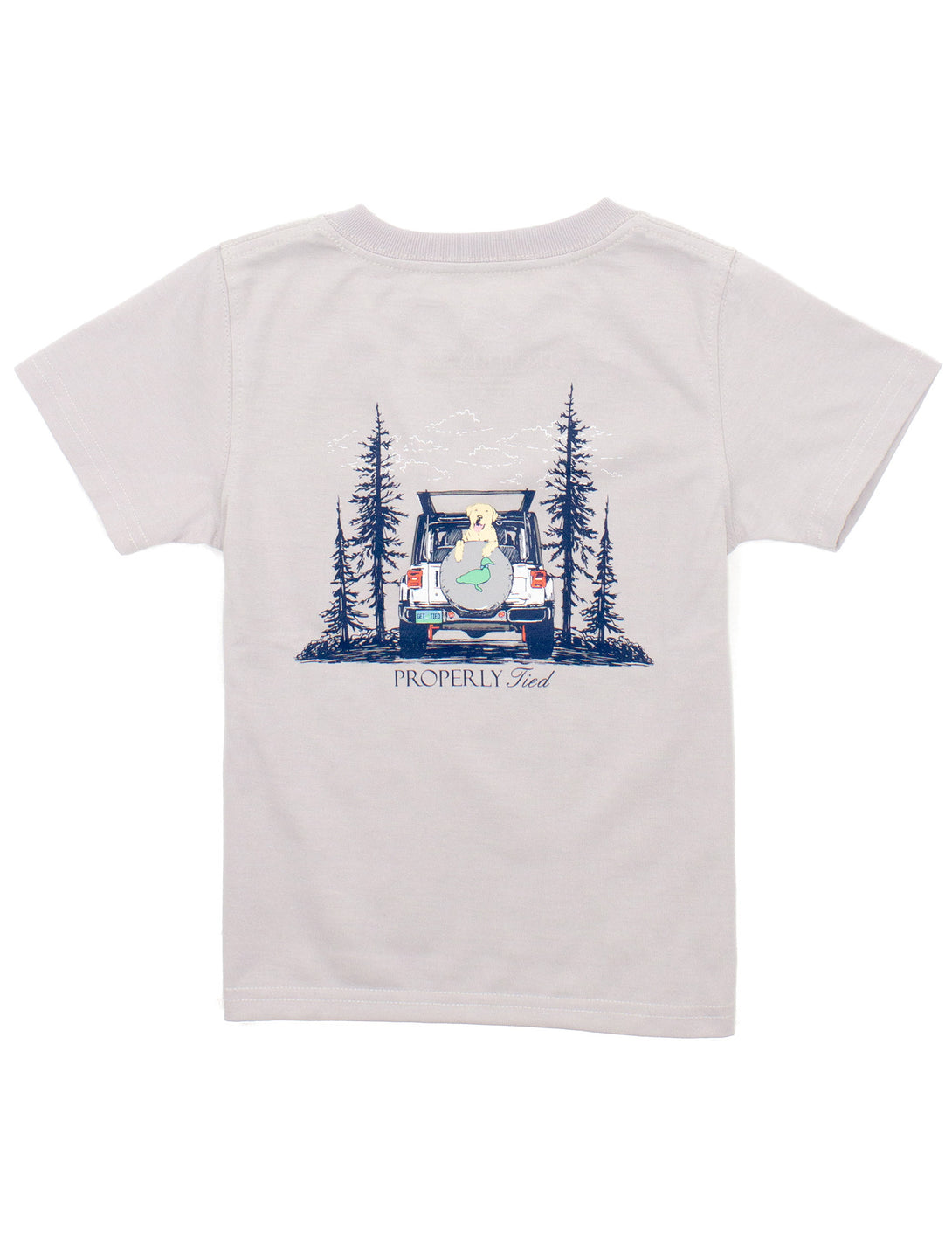 Boys Catch a Ride Short Sleeve Tee in Ice Grey