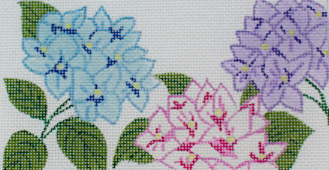 Hydrangea Blooms