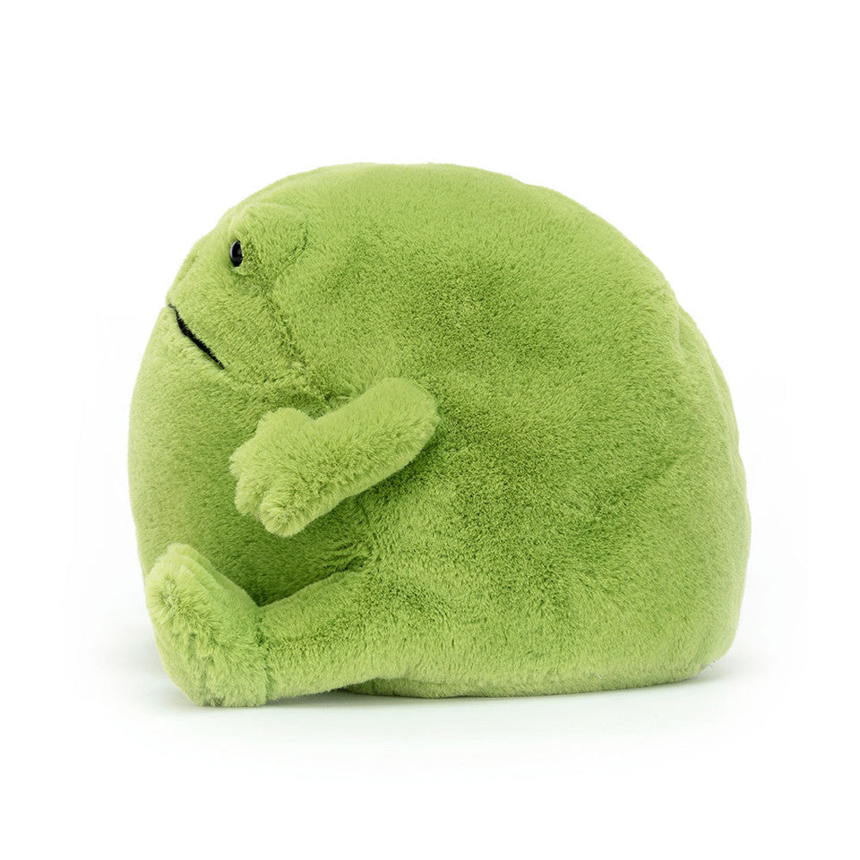 Princess Romy Rilly Frog Ricky Rain Frog – The Frilly Frog