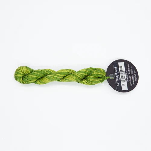 Planet Earth Ply Silk Variegated - 1052V Lettuce