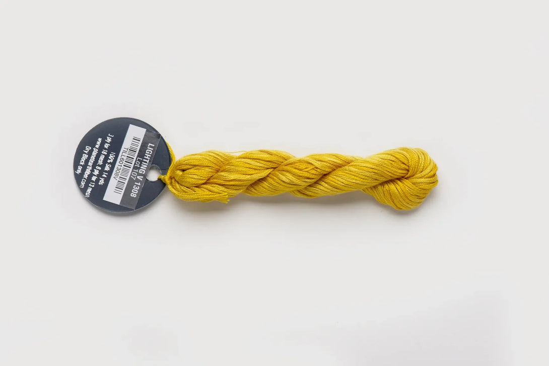 Planet Earth Ply Silk Variegated - 1308V Lightening