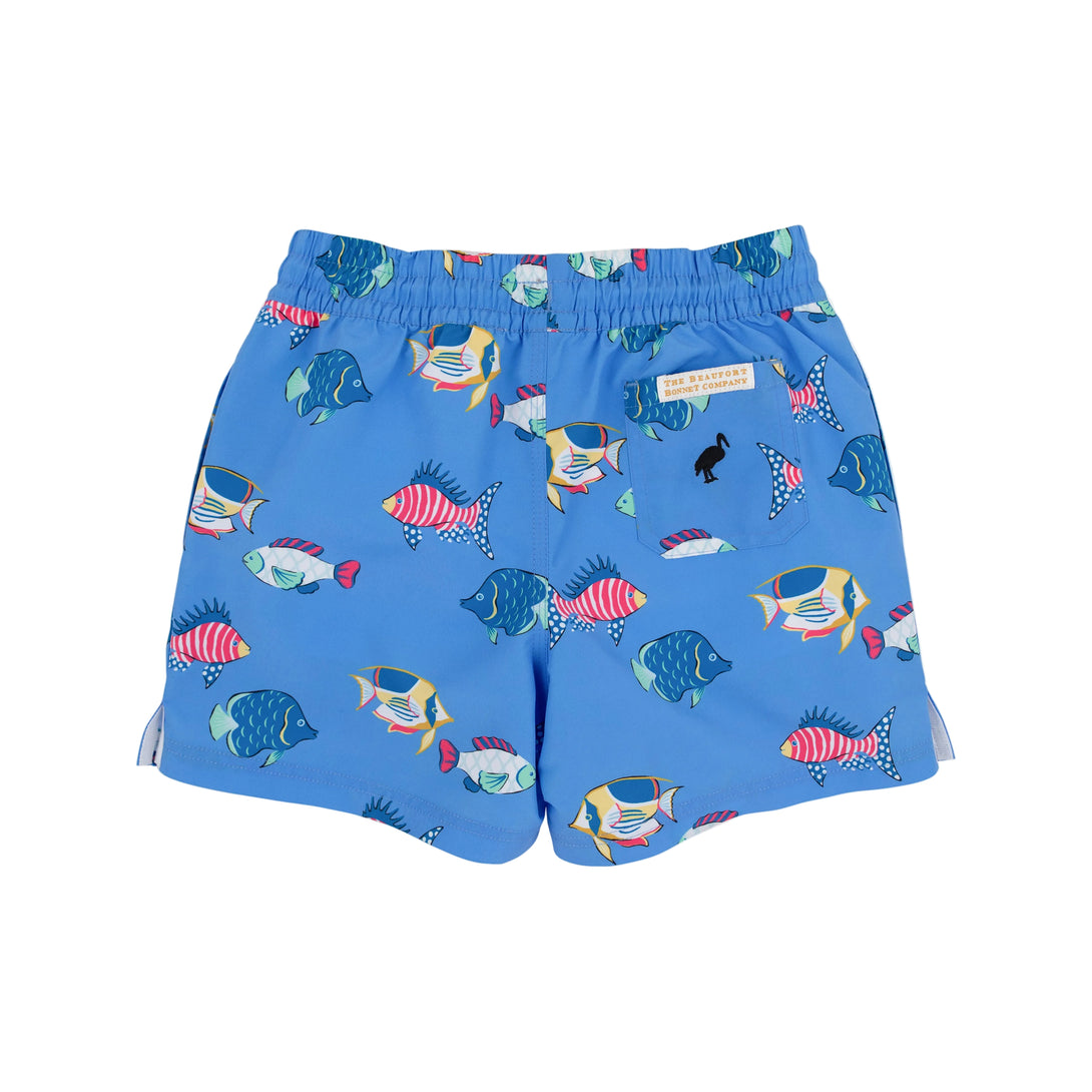 Tortola Swim Trunks Here Fishy Fish Newport Night