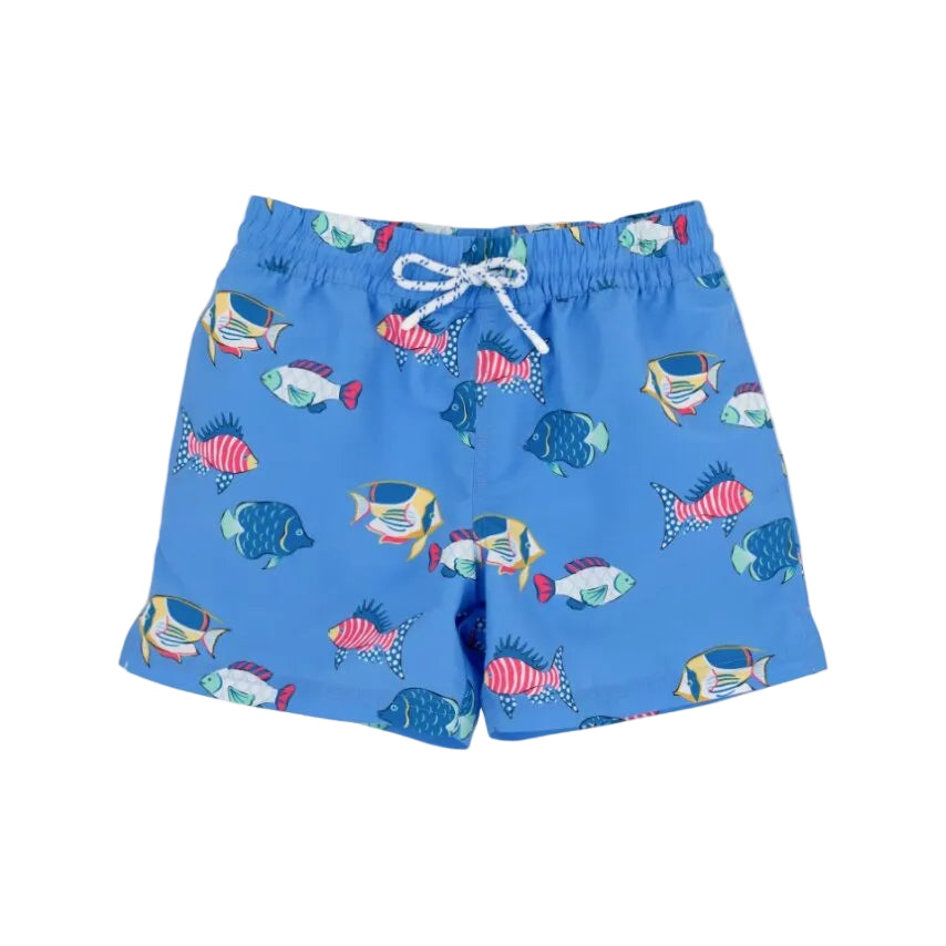 Tortola Swim Trunks Here Fishy Fish Newport Night