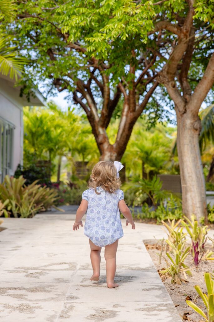 Ramona Ruffle Bubble Pima Handful of Hydrangeas