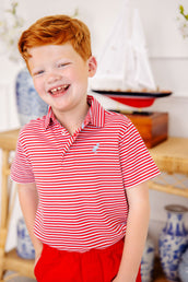 Prim and Proper Polo Short Sleeve Pima in Sumner County Stripe