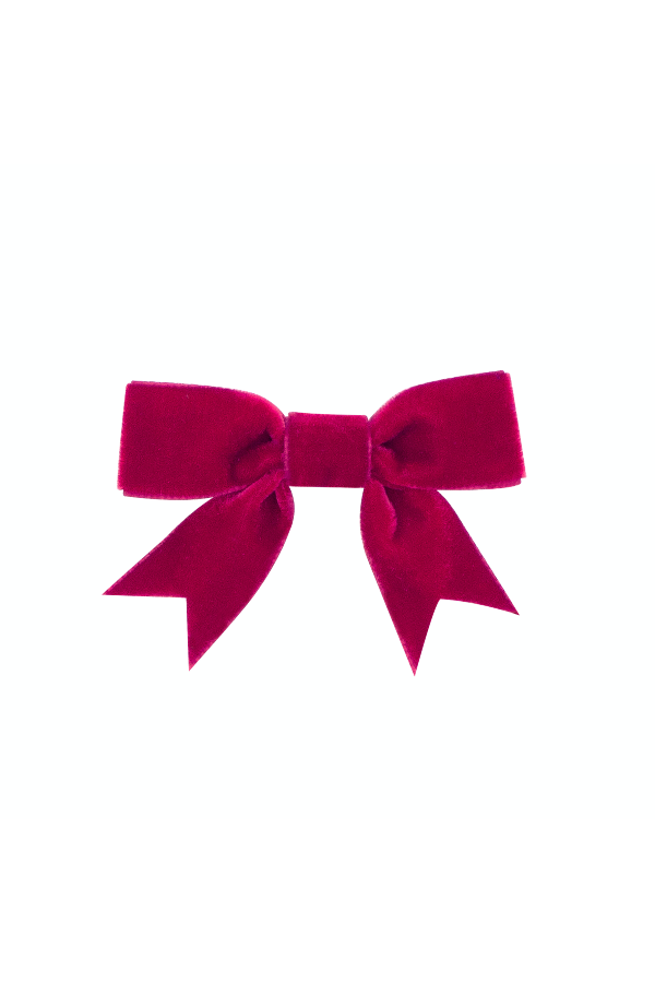 Mini Velvet Bowtie with Fancy Tails